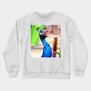Peacock, hear me roar! Crewneck Sweatshirt
